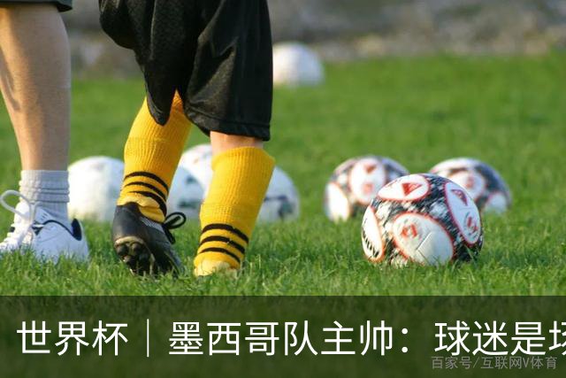世界杯｜墨西哥队主帅：球迷是场上“第12人”